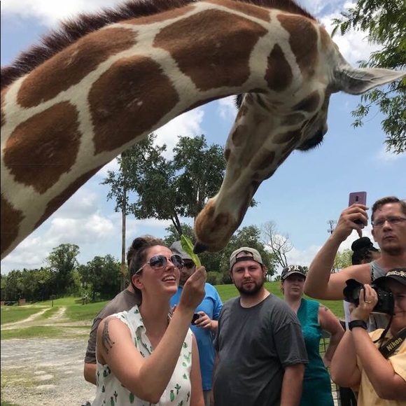 Meet your posher! - Picture 3 of 6